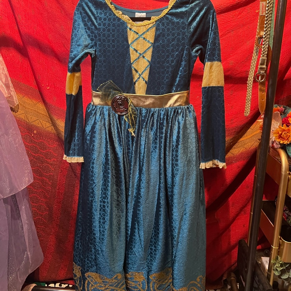 Disney Princess Merida costume